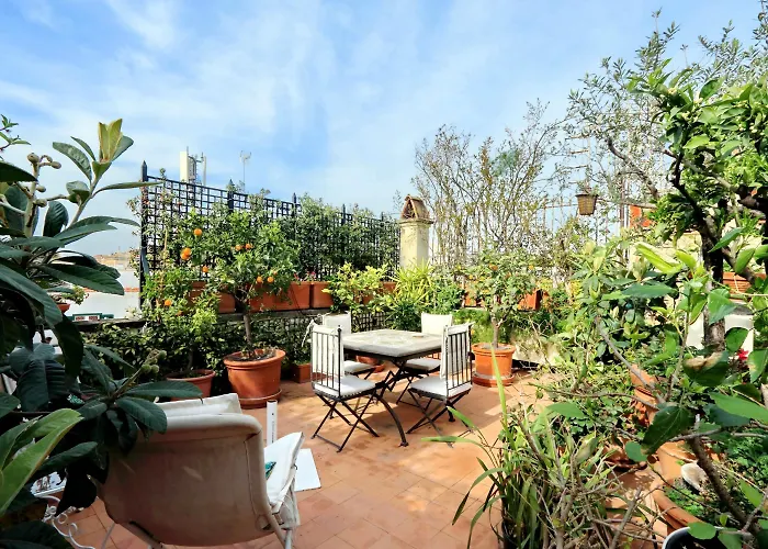Treasurerome Daphne Terrace Rome